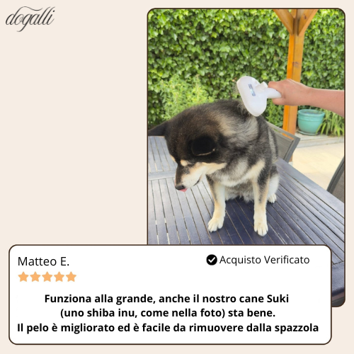 Dogalli™- Zampa Pulita